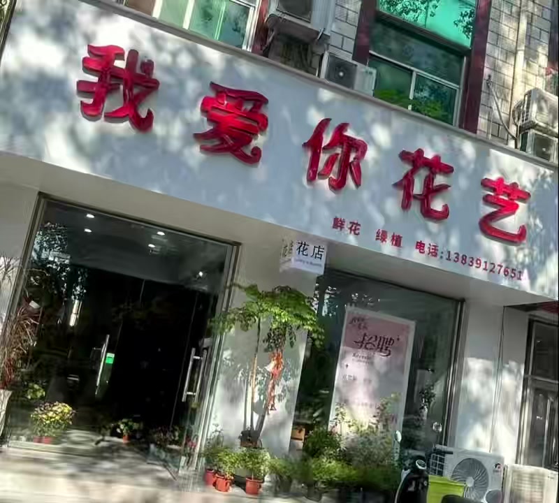album